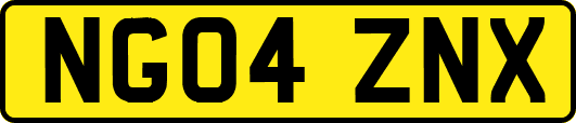NG04ZNX