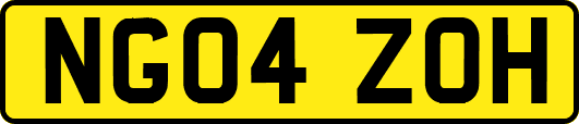 NG04ZOH