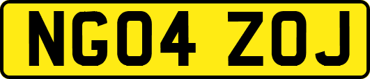 NG04ZOJ