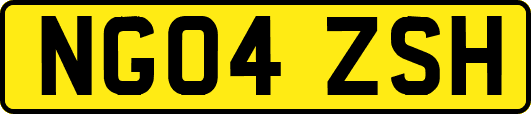 NG04ZSH