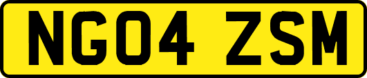 NG04ZSM