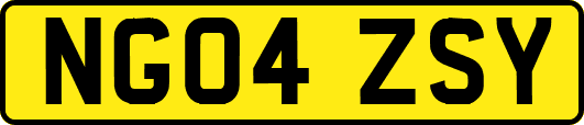 NG04ZSY