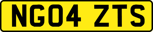 NG04ZTS