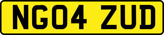 NG04ZUD