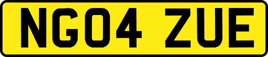NG04ZUE