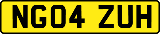 NG04ZUH