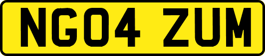 NG04ZUM