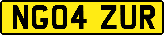 NG04ZUR