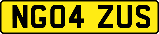 NG04ZUS