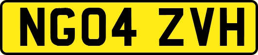 NG04ZVH