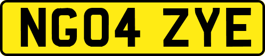 NG04ZYE