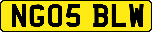 NG05BLW