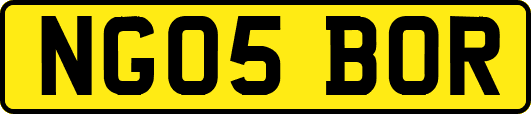 NG05BOR