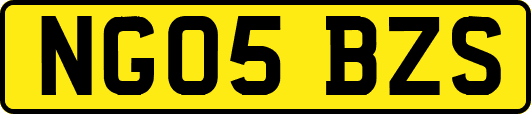 NG05BZS