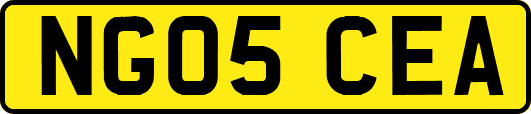 NG05CEA
