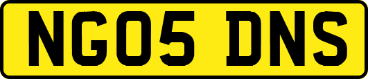 NG05DNS