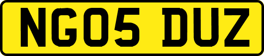 NG05DUZ