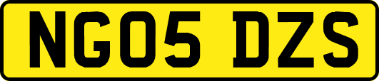 NG05DZS