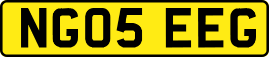 NG05EEG