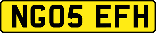 NG05EFH