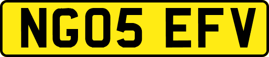 NG05EFV