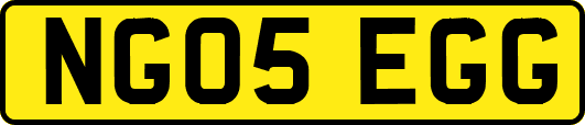 NG05EGG