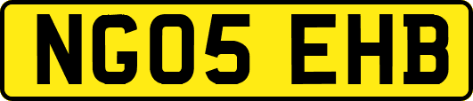 NG05EHB