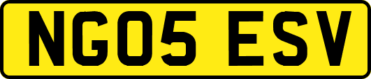 NG05ESV