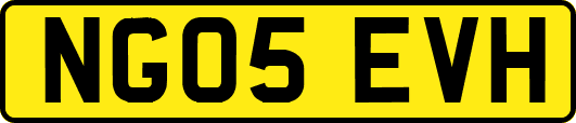 NG05EVH