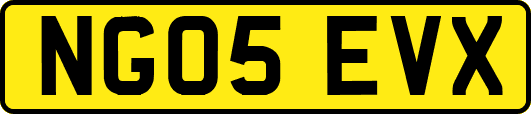 NG05EVX