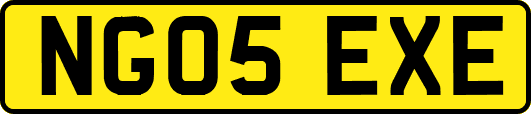 NG05EXE