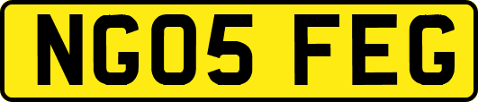 NG05FEG