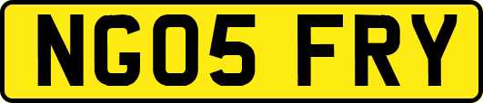 NG05FRY