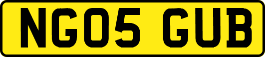 NG05GUB