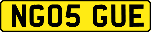 NG05GUE