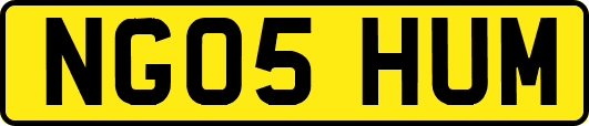 NG05HUM