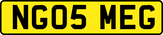 NG05MEG