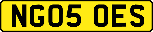 NG05OES