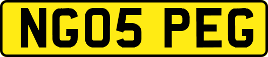 NG05PEG