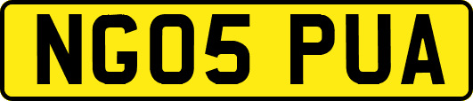NG05PUA