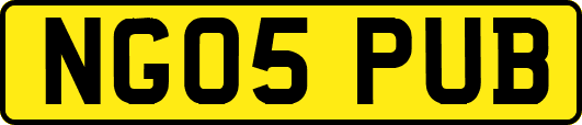 NG05PUB