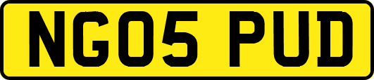 NG05PUD