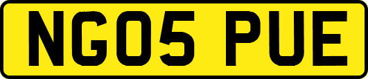 NG05PUE