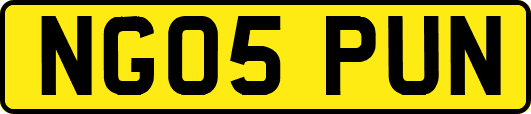 NG05PUN