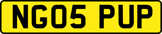 NG05PUP