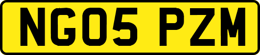 NG05PZM