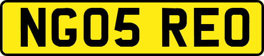 NG05REO