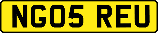 NG05REU