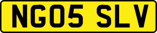 NG05SLV