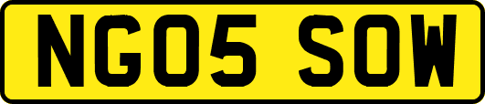 NG05SOW